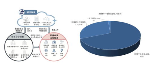 稀缺標(biāo)的港股上市 醫(yī)學(xué)影像第一股邁入高增長，互聯(lián)網(wǎng)數(shù)據(jù)服務(wù)助力新篇章