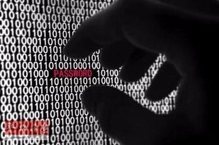 如何構(gòu)建CMS系統(tǒng) 從零開(kāi)始的完整指南